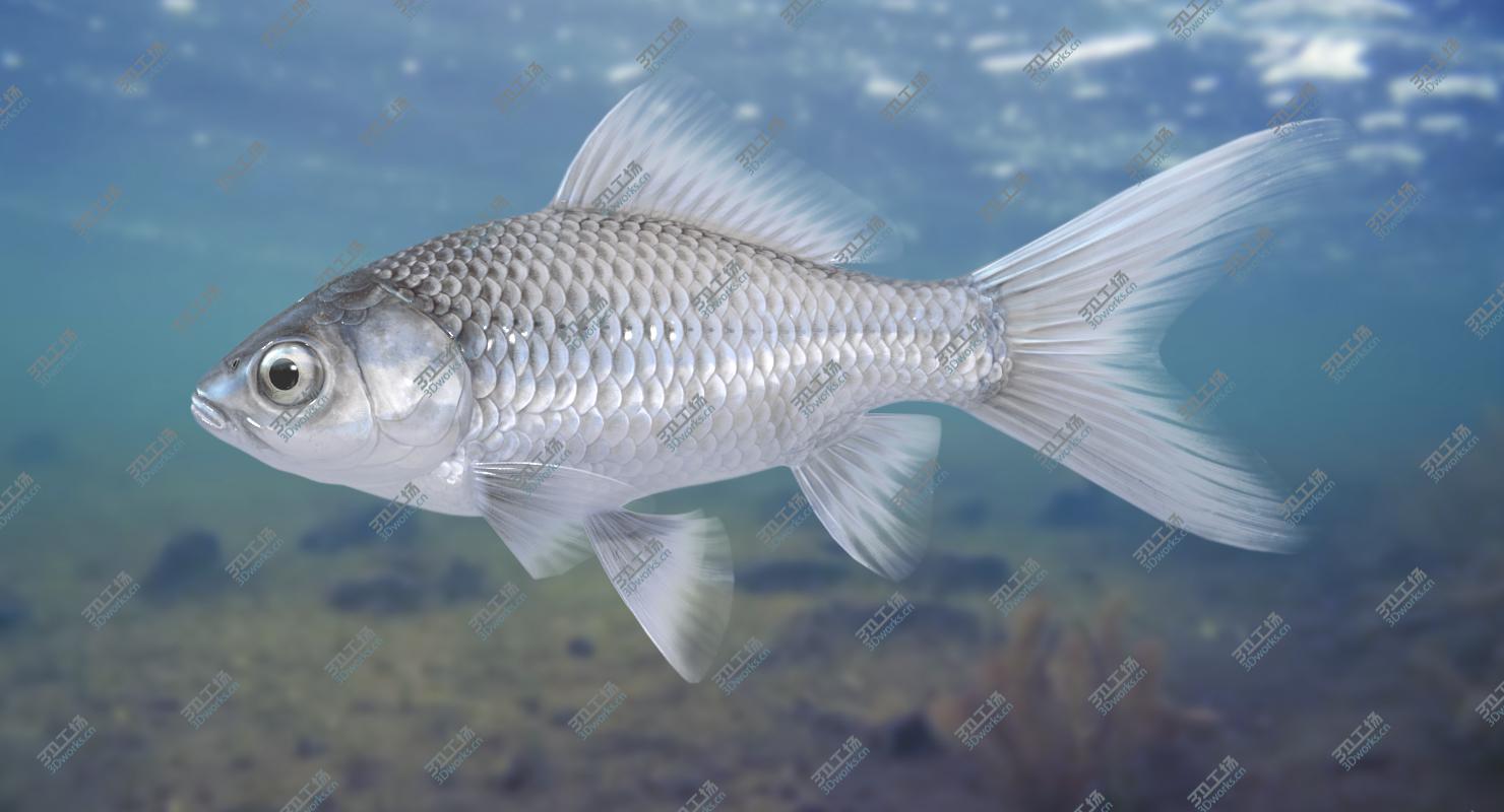 images/goods_img/202104092/Fish (Animated) 3D model/1.jpg